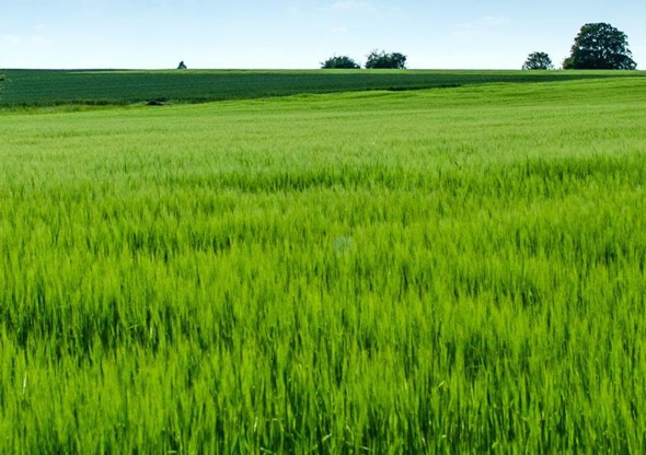 粉象生活APP怎么赚钱