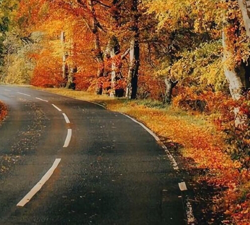 粉象生活商家版怎么申请