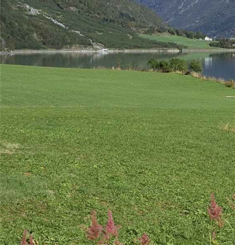 粉象生活下载官方正版