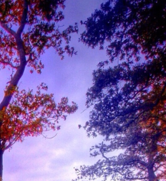 粉象生活佣金返还