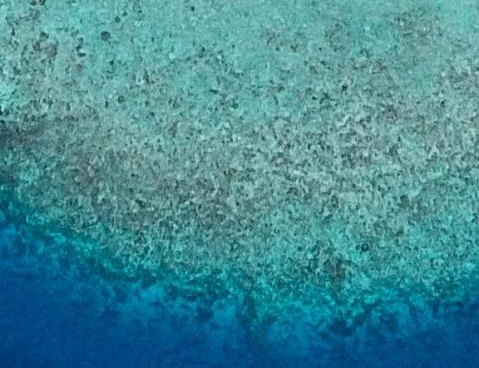 成都鲲鹏通象教育