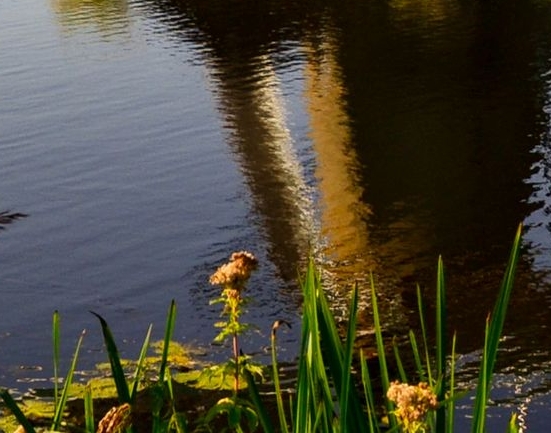 粉象生活邀请码