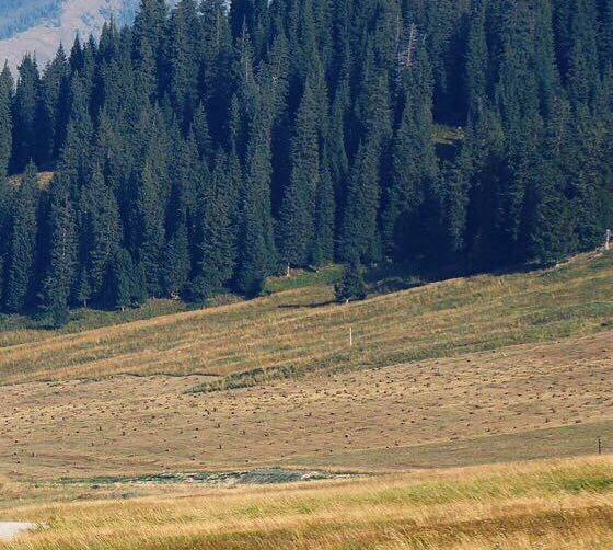 济南鼎信超微粉碎