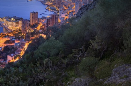 粉象这个平台合法吗