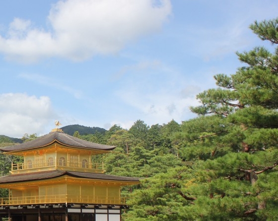 韶关粉象生活收入