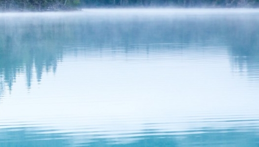 粉象生活赚钱教程