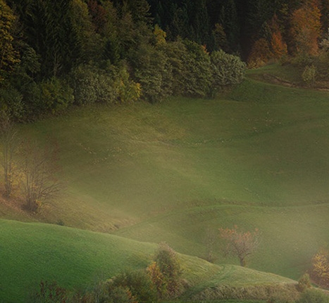 粉象生活升级后大概几天才看到收入