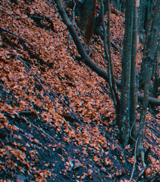 粉象生活怎么提醒