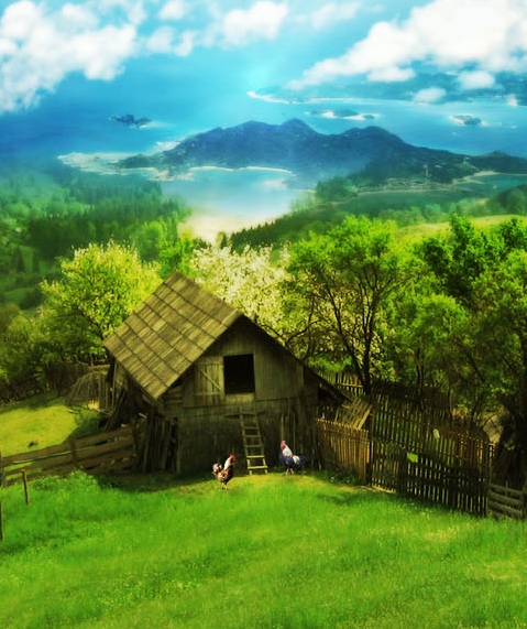 粉象生活提成多少