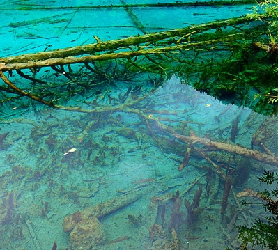 粉象生活怎么搬运