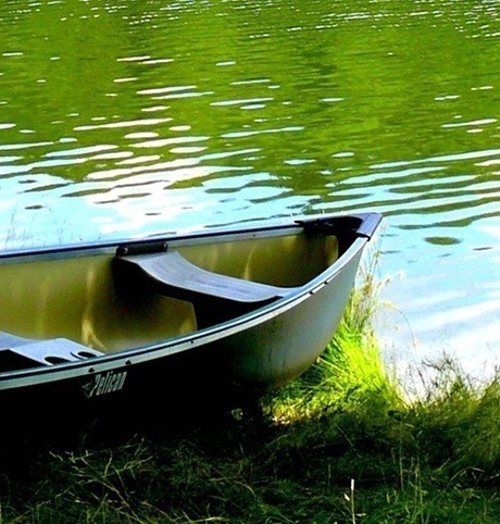 粉象生活怎么设置收款语音