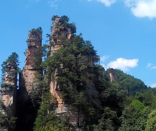 粉象官方邀请码是多少