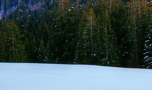 济南粉象生活峰会