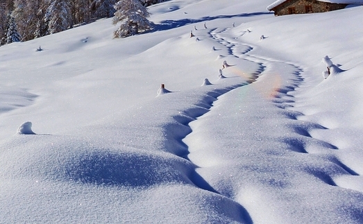 粉象生活创业骗局