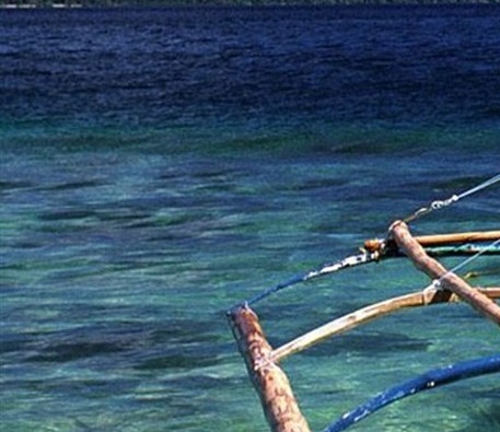 浙江粉象生活电话