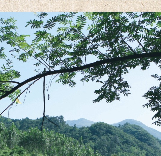 粉象生活为啥有优惠券