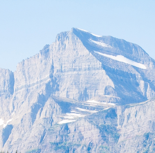 晨曦酒庄4朵冰雾花位置