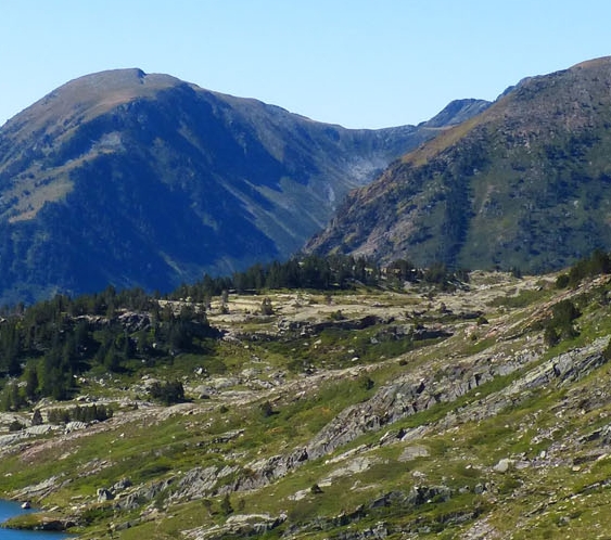 最新版粉象生活app下载安装