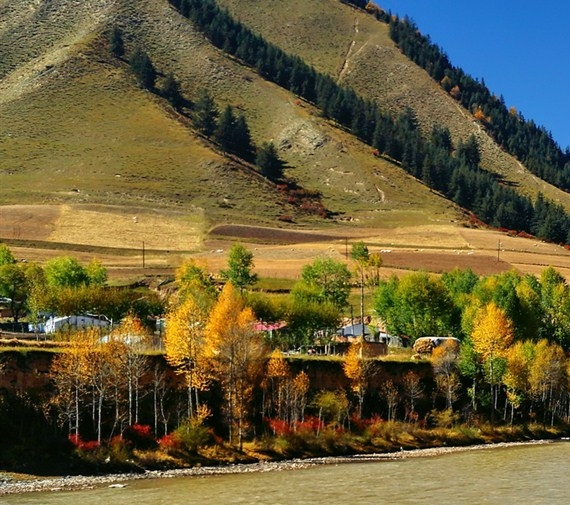 和粉象生活类似的软件