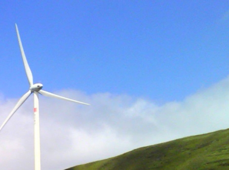 粉象生活收费吗