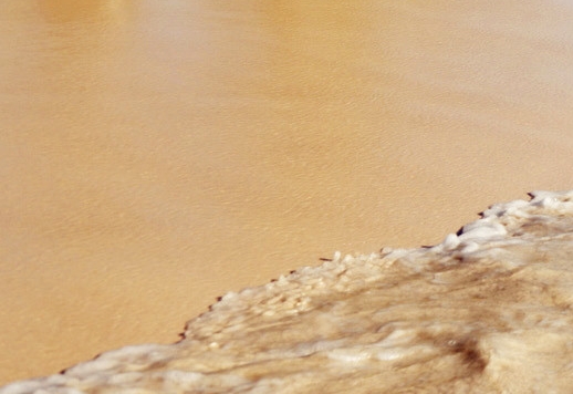 粉象生活怎么赚钱的