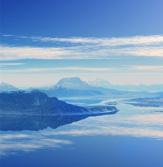 东营粉象生活图片