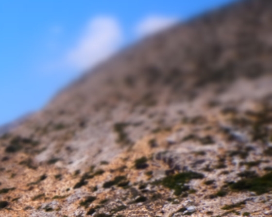 粉象生活真实收入