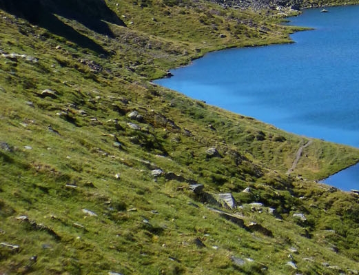 浙江品高灵芝孢子粉
