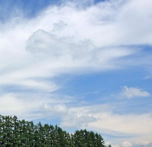 潮州粉象生活收入