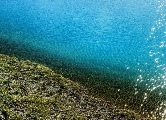 湖南口碑粉象生活软件