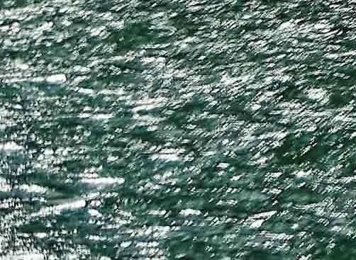 手机粉象生活兼职