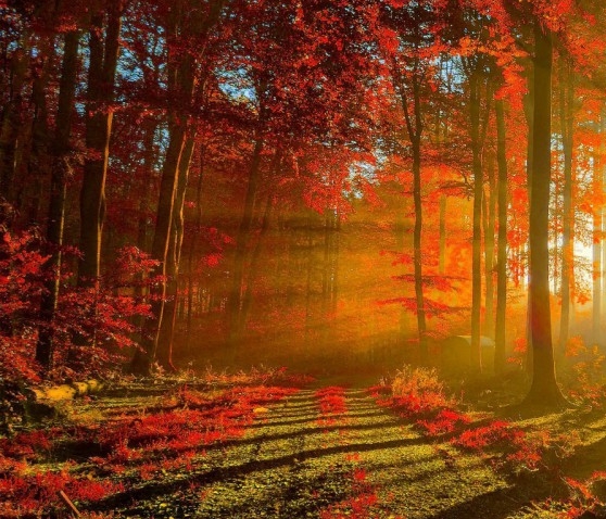 粉象生活新手怎么做