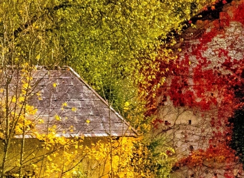 粉象生活晒收入是不是真的