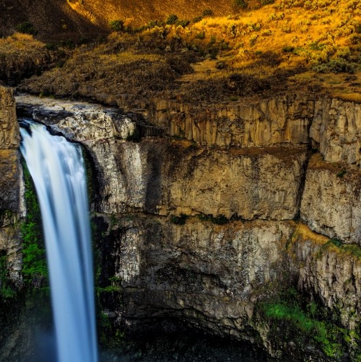 济南粉象生活软件