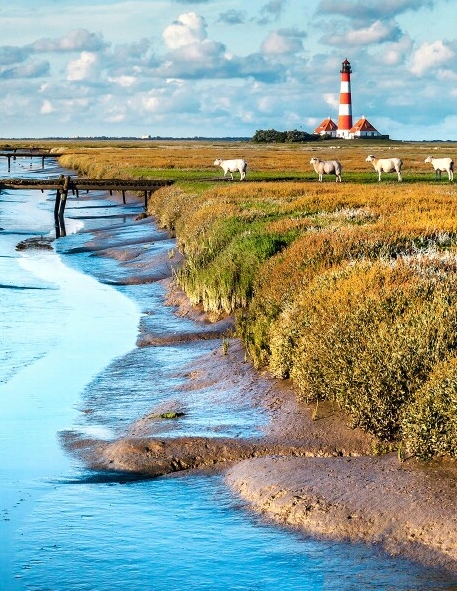 粉象生活手表正品