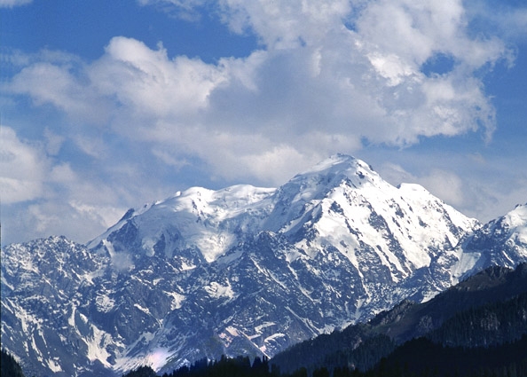 粉象生活被曝光