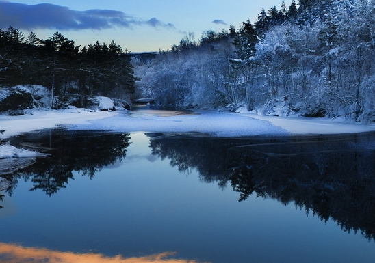 深圳粉象生活收费