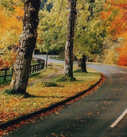 粉象生活如何关闭