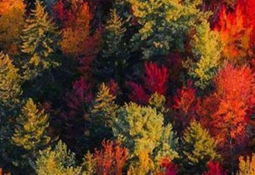 粉象生活怎么便宜