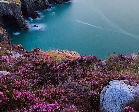 粉象生活发布会开场白