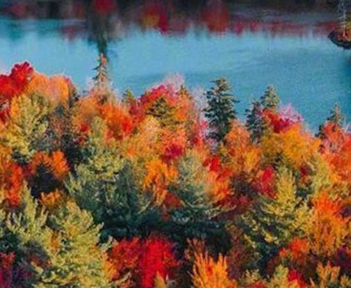 五谷渔粉不加盟可以开店吗