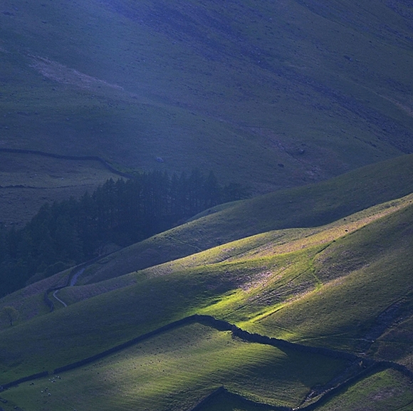 福建运营粉象生活赚钱么