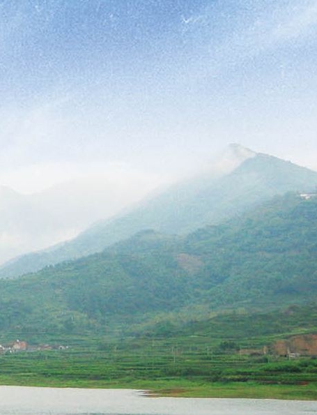 口碑好的粉象生活网站