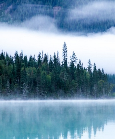 保定短视频加粉推广