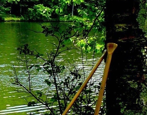 比粉象生活返利还高的软件