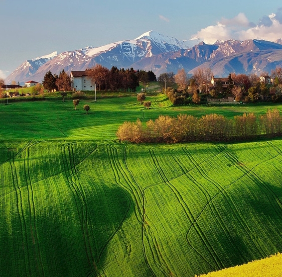 粉象生活如何发展