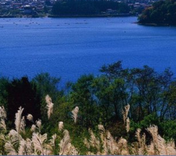 粉象生活宝妈如何挣钱