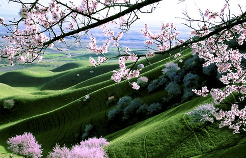 粉象生活京东佣金