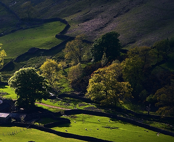 粉象生活让开VIP