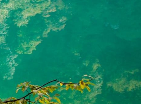 铁岭最低生活标准